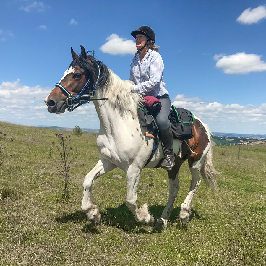 Load image into Gallery viewer, Rider cantering whilst horse wears the Freerein equipment expedition saddle bags
